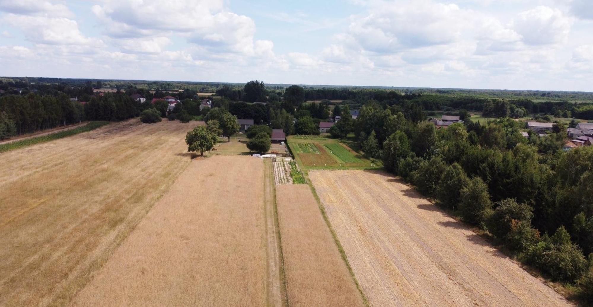 Agroturystyka Kraina Jezior Ludwin Buitenkant foto