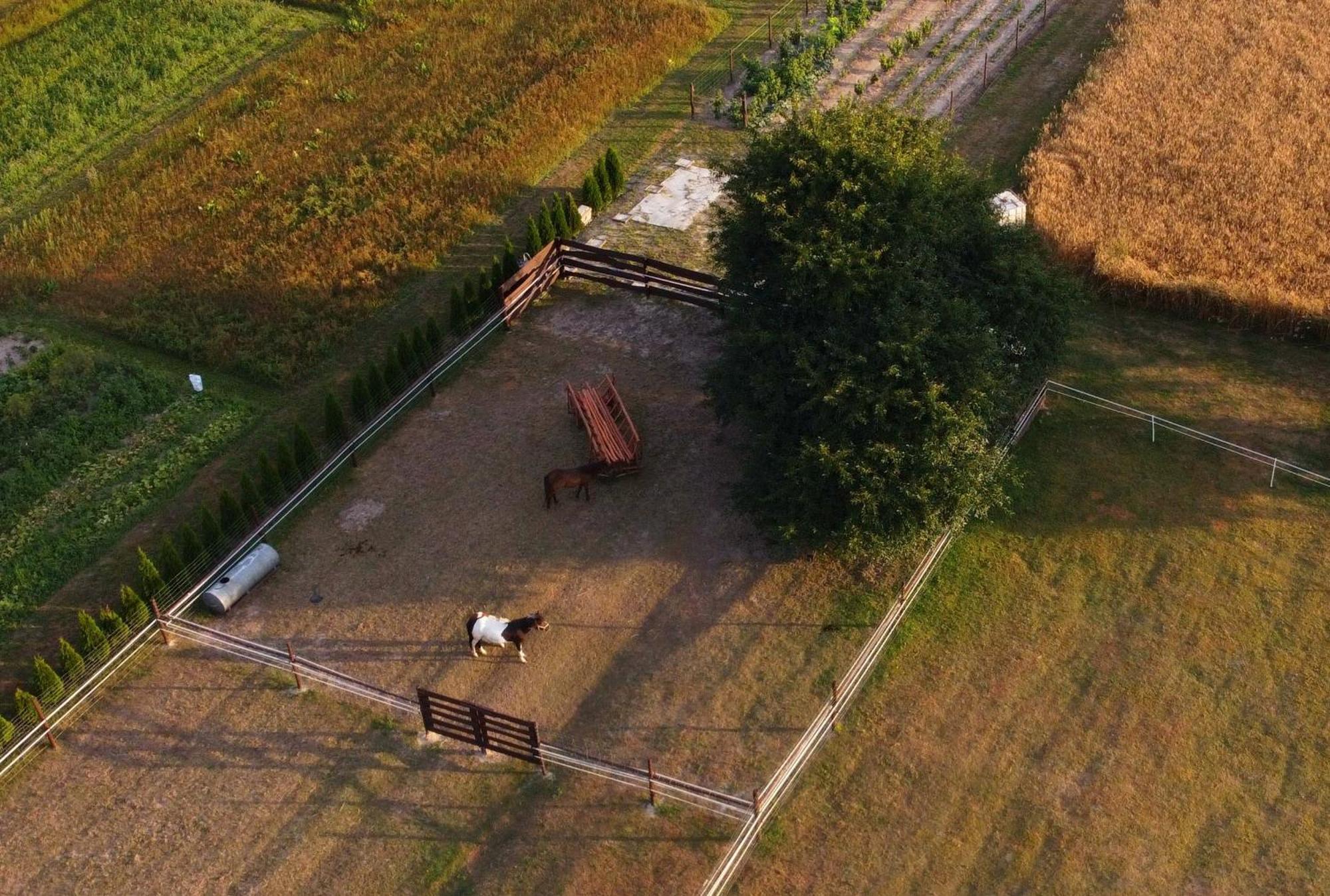 Agroturystyka Kraina Jezior Ludwin Buitenkant foto
